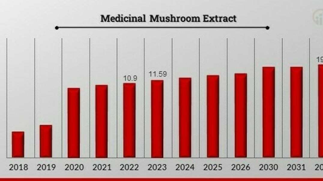 Medicinal Mushroom Extract Market